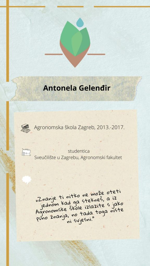 Antonela Gelenđir