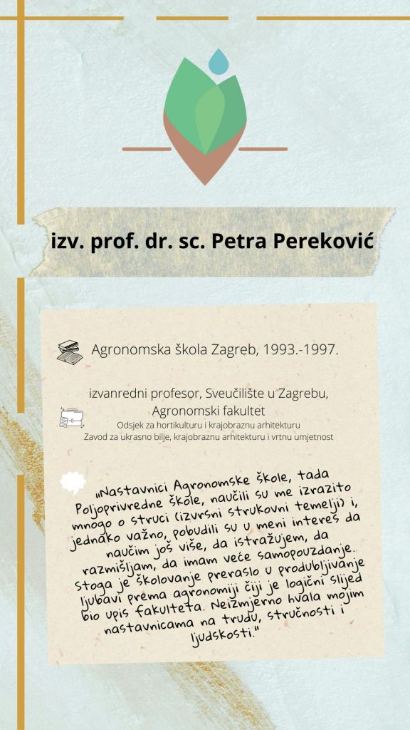 Petra Pereković